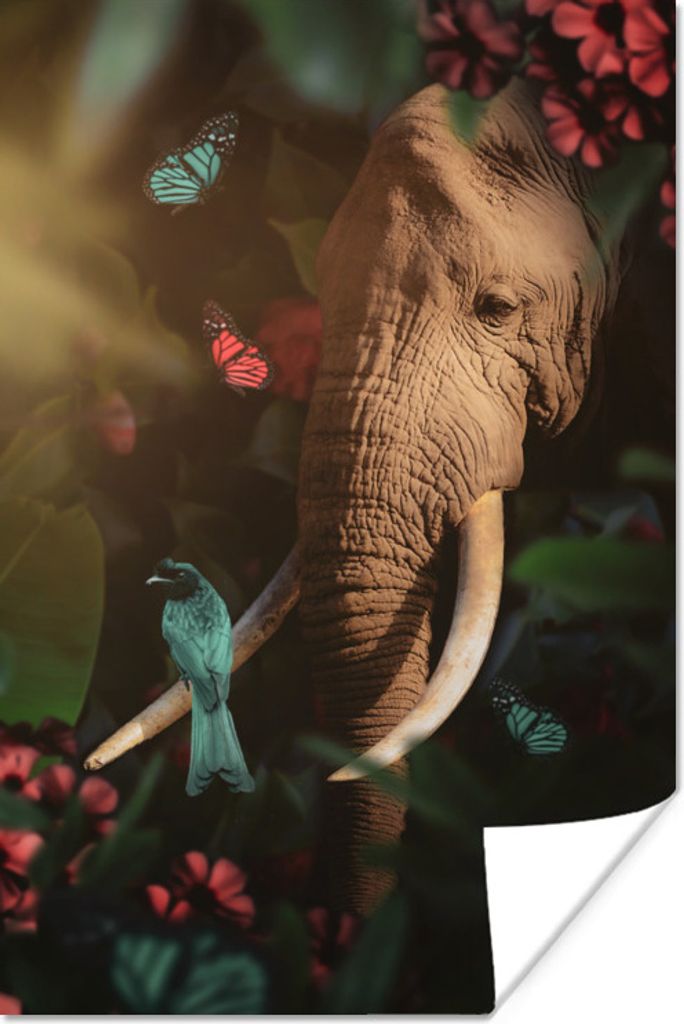 MuchoWow Poster Elefant - Vogel - Schmetterling - Dschungel 80x120 cm - Papierdruck
