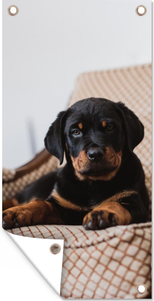 MuchoWow 80x160 cm Outdoor-Poster Gartendeko Sichtschutz Garten Poster für den Garten Niedlicher Rottweiler-Welpe sitzt auf einem Stuhl
