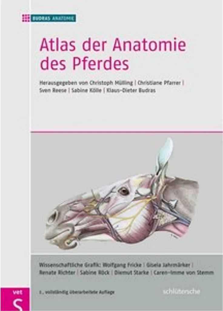 Atlas der Anatomie des Pferdes avec Planches Détaillées en Couleurs