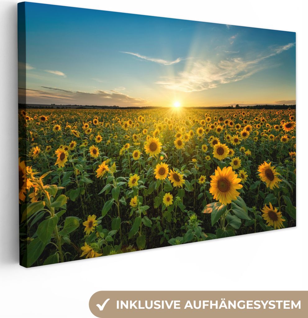 MuchoWow - Leinwandbilder - Sonnenuntergang - Blumen - Sonnenblume - Horizont - Landschaft, Wandbild, Wanddeko Bilder Wohnzimmer, 90x60 cm