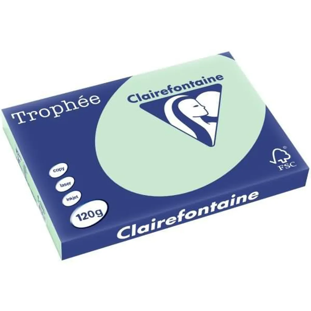 Papier A3 Vert Clair 120g Clairefontaine pour Affichage et Signalétique