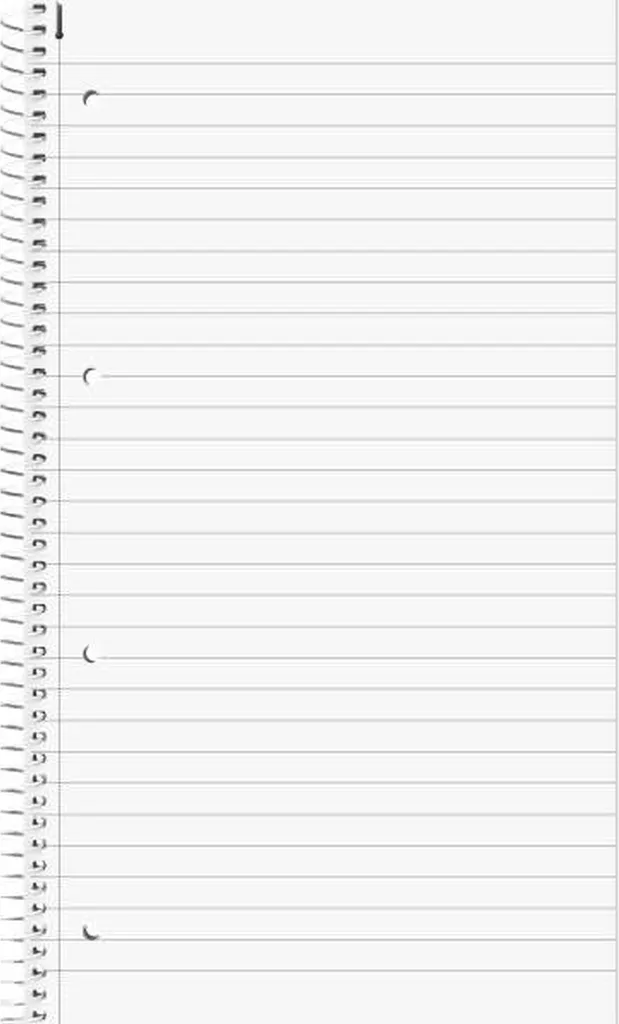 Bloc-notes A4 pour étudiants BRUNNEN ligné 25 perforé pack de 5 - 2