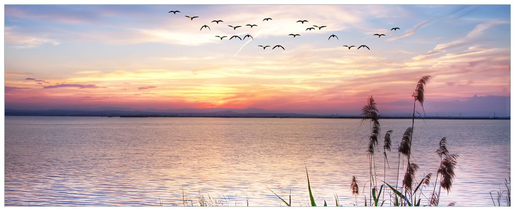 Wallario Wandbild aus Acryl, 125 x 50 cm, freischwebende Optik - Seepanorama mit Schilf und fliegenden Vögeln