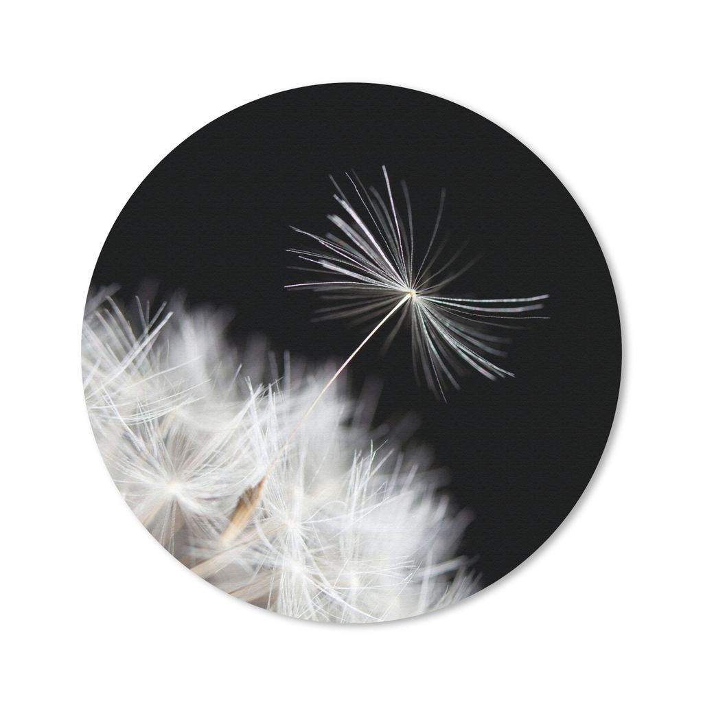 MuchoWow Mauspad Mousepad Blume - Löwenzahn - Pflanze 40x40 cm - Mousepads - Maus Mat - Pad - Mausunterlage - Schreibtisch Accessoires