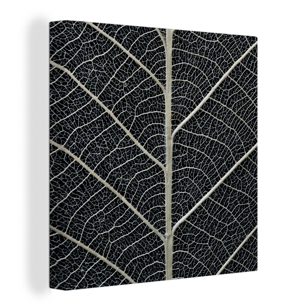 OneMillionCanvasses - Leinwandbilder - 50x50 cm - Blattskelett mit Adern und Äderchen - Vlies Leinwandbild - Wandbilder Wohnzimmer - Schlafzimmer ...