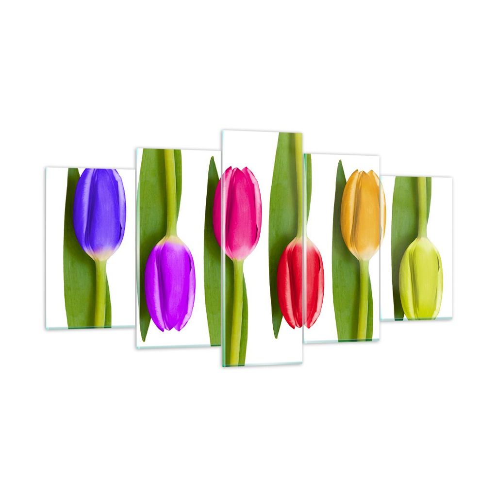 Bilder auf glas - Tulpe Blume Garten Komposition - 160x85cm - Glasbilder - Wandbilder - Kunstdruck - zum Aufhängen bereit - Wanddekoration aus Gla...