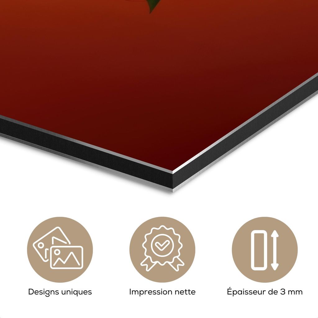MuchoWow Wanddekoration Metall Metallbild Wandkunst 120x80 cm Frau - Chilischoten - Blumen MuchoWow Aluminium Gemälde - Alu Bild