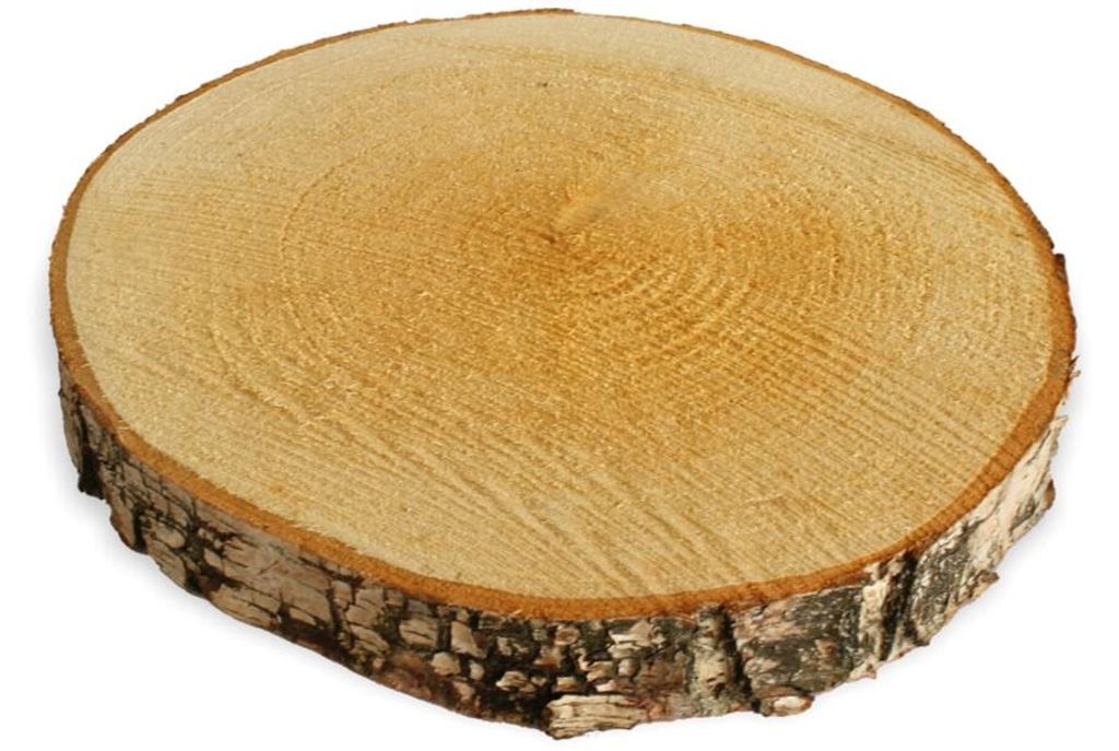 Rondelles d'arbre 1 pc. Bois de décoration Rondelle de bois Image du produit 