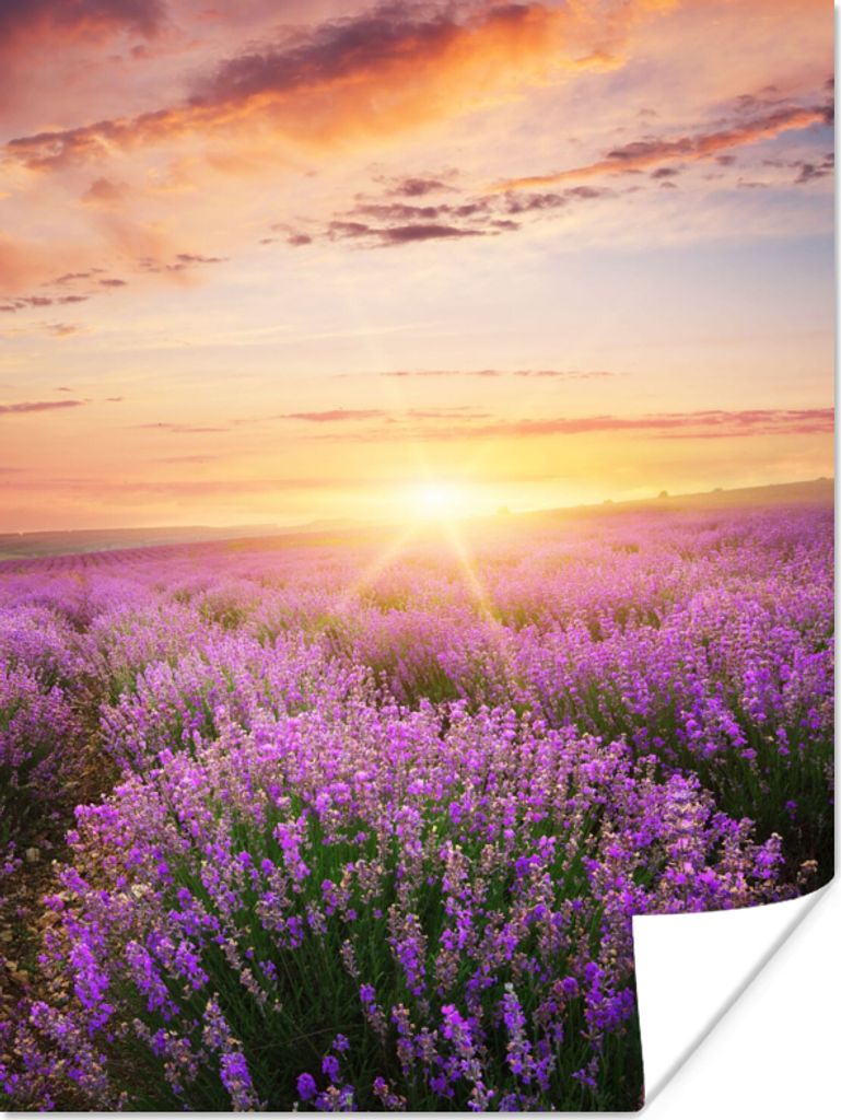 MuchoWow Poster Lavendel - Sonne - Blumen 30x40 cm - Wandplakat - Poster Kinderzimmer