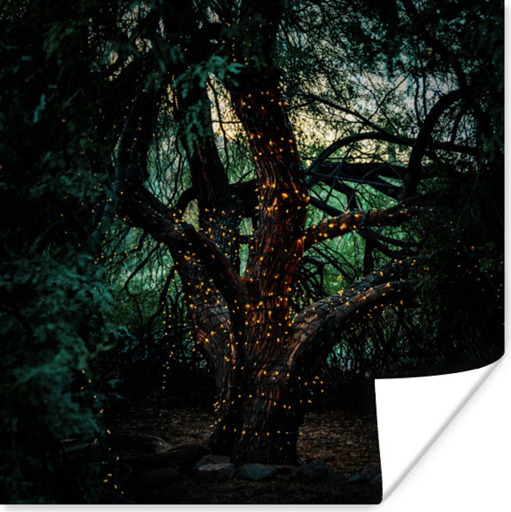 MuchoWow Poster Baum - Glühwürmchen - Natur 30x30 cm - Wandposter - Printing