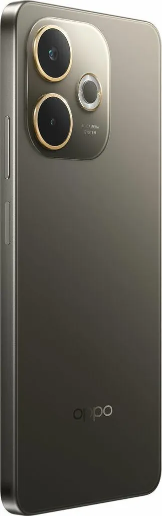 Smartphone Oppo CPH2695 Octa Core : Écran 6,67" fluide et 256 Go de mémoire