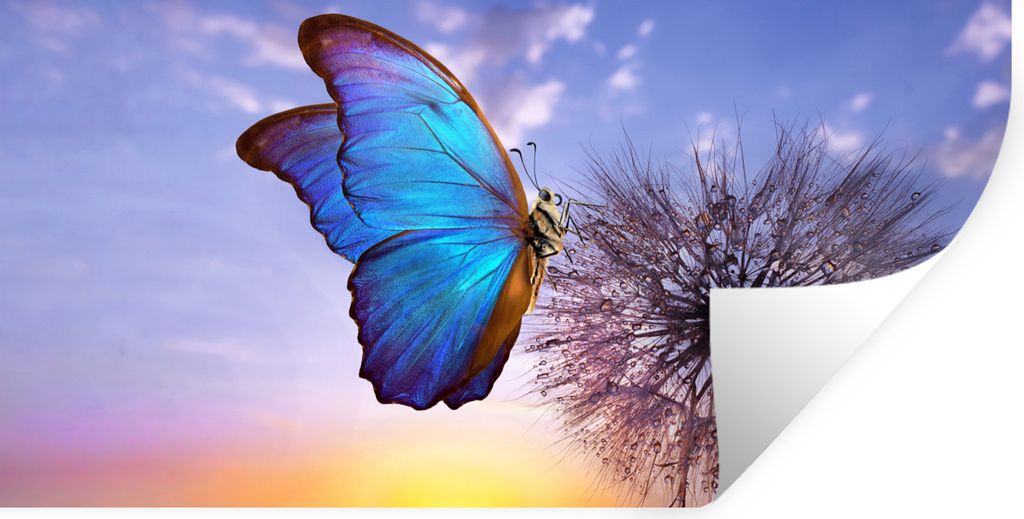 MuchoWow Wandtattoo Wandsticker Wandaufkleber Schmetterling - Sonnenuntergang - Löwenzahn - Blau 120x60 cm Selbstklebend und Repositionierbar - ...