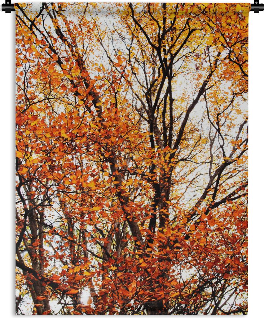 MuchoWow Wandteppich Wandbehang Wald - Herbst - Jahreszeiten 150x200 cm Tapisserie Dekoration Wandtuch - Wandaufhängung - Moderner