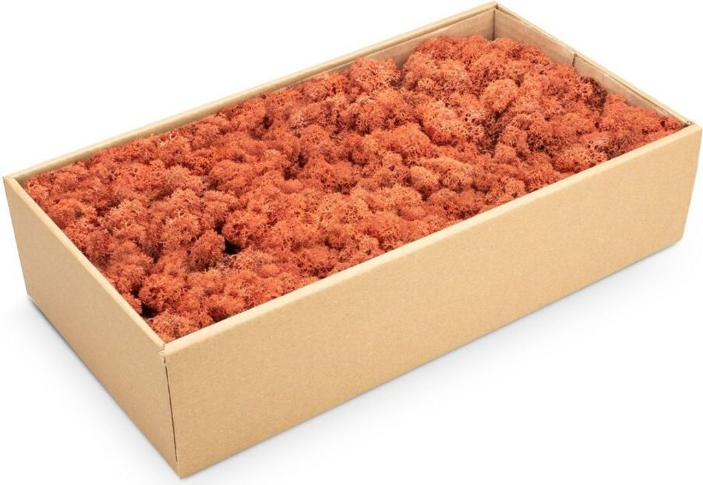 Islandmoos 500g in 30 Farben – Konserviertes Rentiermoos Natur, Farbe:Siena