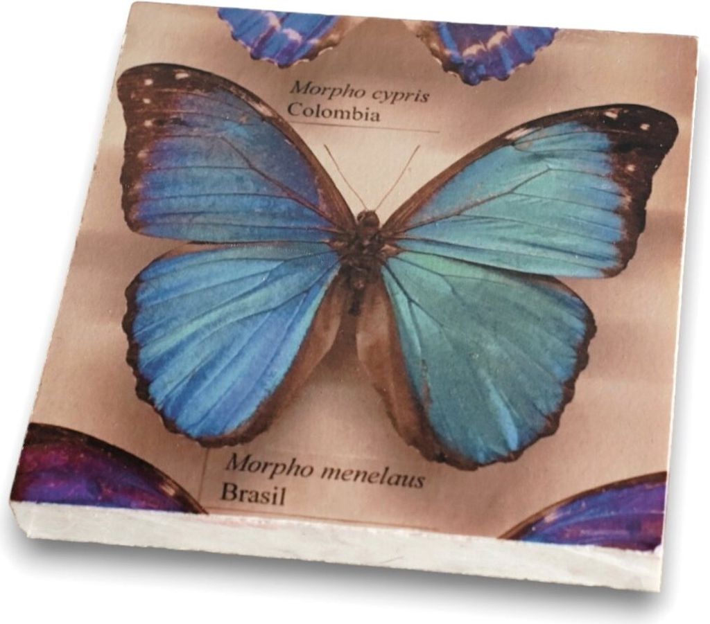 Untersetzer aus ECHTEM MAMOR für Glas Tasse, Blue Butterfly - 216