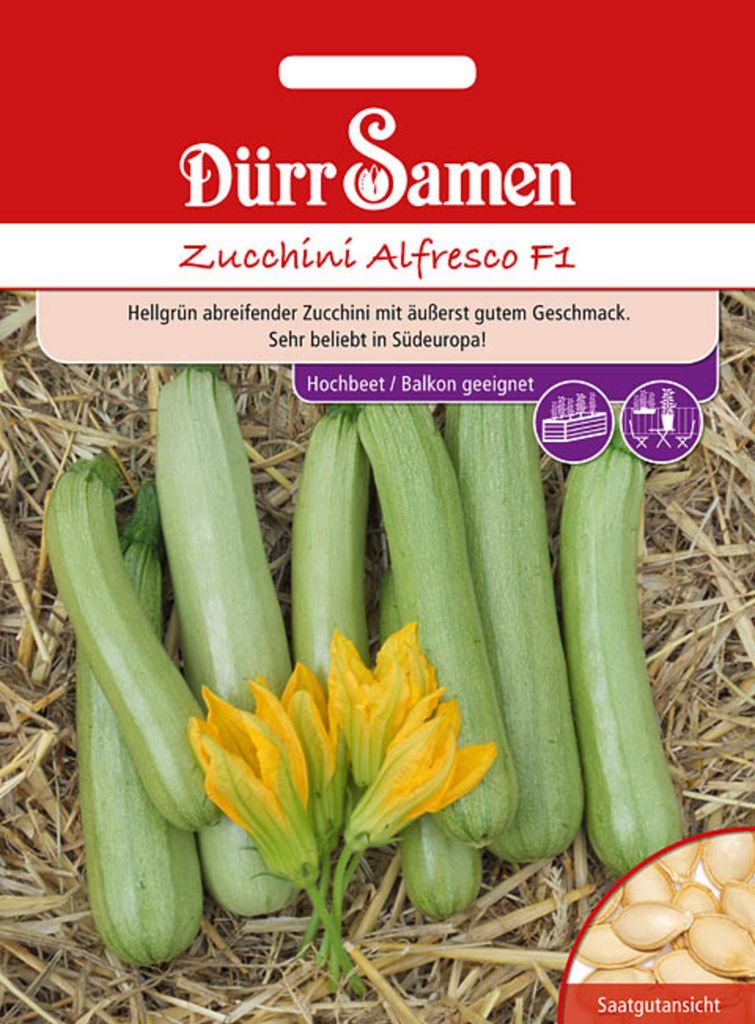 Dürr-Samen - Zucchini Alfresco F1 - Saatgut - 4271 Produktbild 