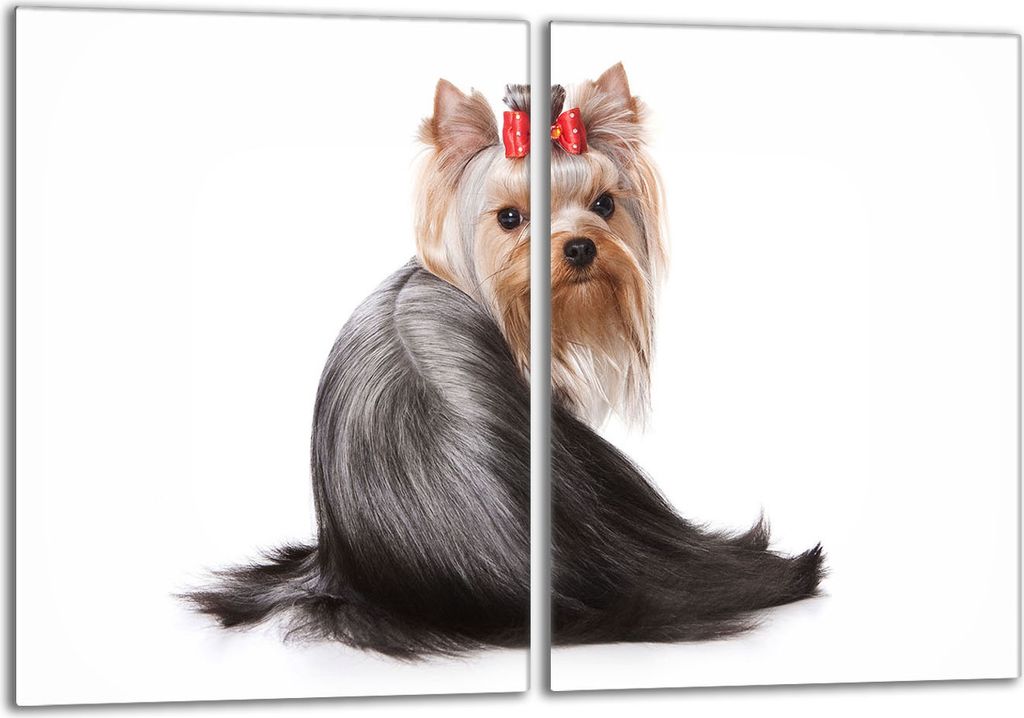 Glasschutzplatte für den Herd 2x40x52 Hund