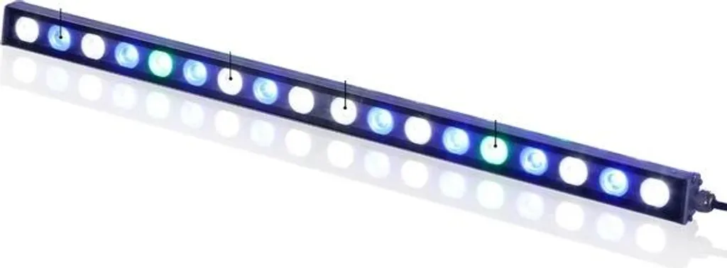 Lumière LED Aquarium Anti-Algue pour Récif Corallien et Bassins de Jardin