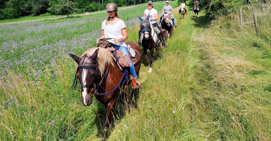 mydays Wanderreiten mit Picknick Weiler bei Monzingen; Erlebnis verschenken oder selbst erleben; Gutschein für 1 Person(en)