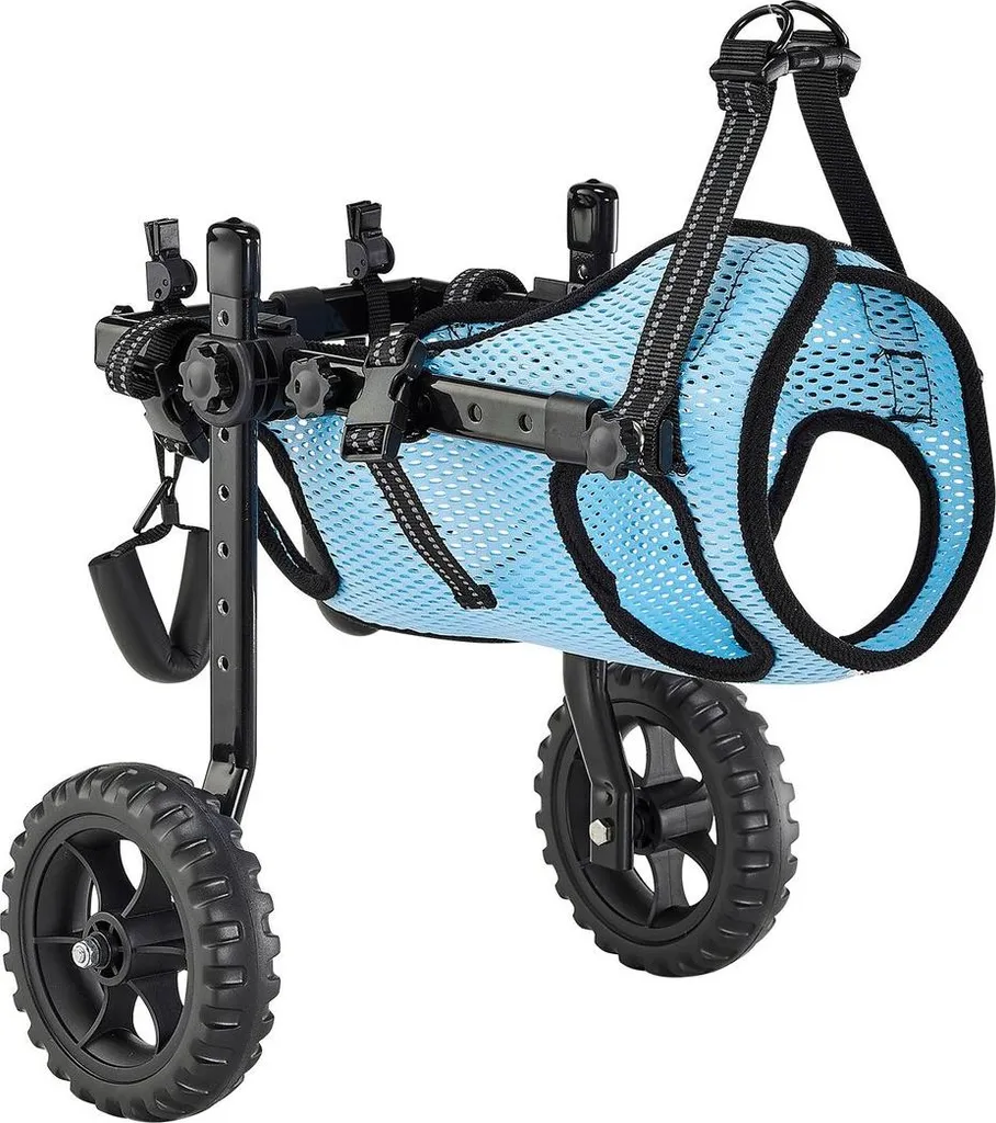 Carrozzina per cani per zampe posteriori, carrozzina per animali domestici regolabile a 2 ruote, carrozzina leggera per cani con ruote ammortizzanti, carrozzina di supporto alla mobilità per cani disabili o feriti fino a 10 kg, piccola - 9