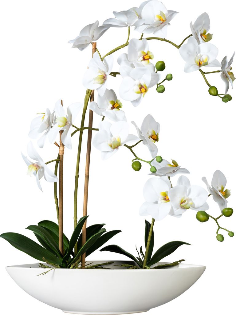 Kopu Kunstblume Orchidee 60 cm weiß mit Schuppen oval – Phalenopsis