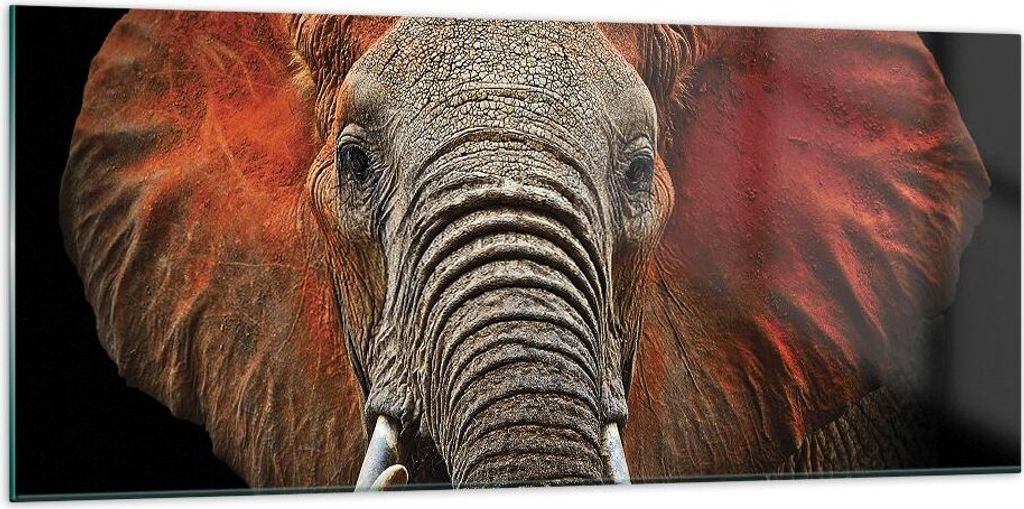 Bilder auf glas - Einteilig - Elefant Rot Ohren - 120x50cm - Glasbilder - Wandbilder - Bilder - zum Aufhängen bereit - Wanddekoration aus Glas - G...