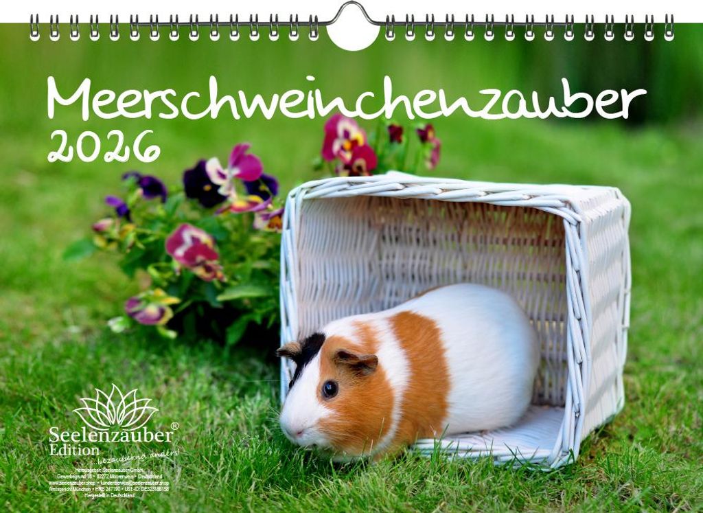 Meerschweinchenzauber DIN A4 Kalender für 2026 Meerschweinchen