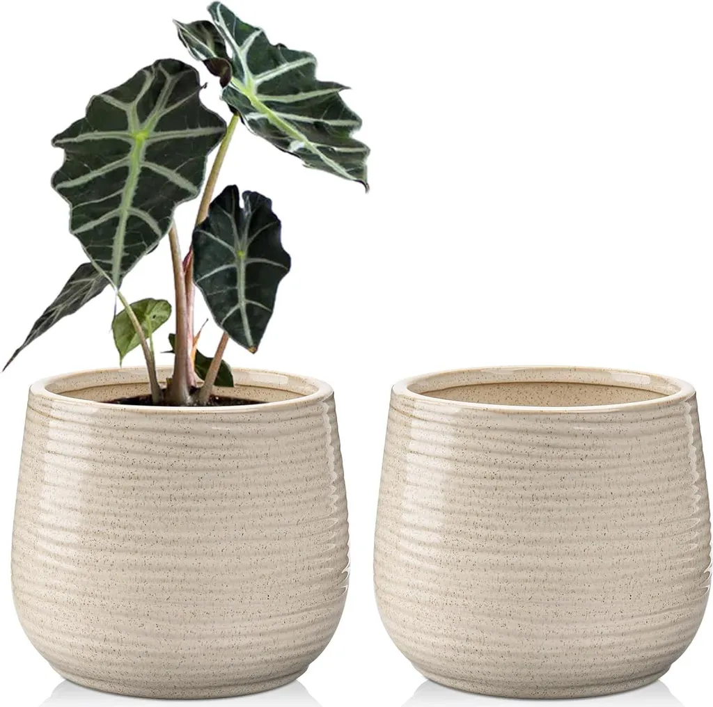 Pots de Fleurs Décoratifs en Céramique 14cm pour Succulentes et Cactus