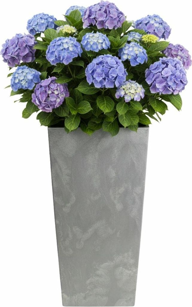 HowHomely | Blumentopf - Pflanzgefäß - B40xH75 cm - grau - Betonstruktur - Übertopf Blumenkübel