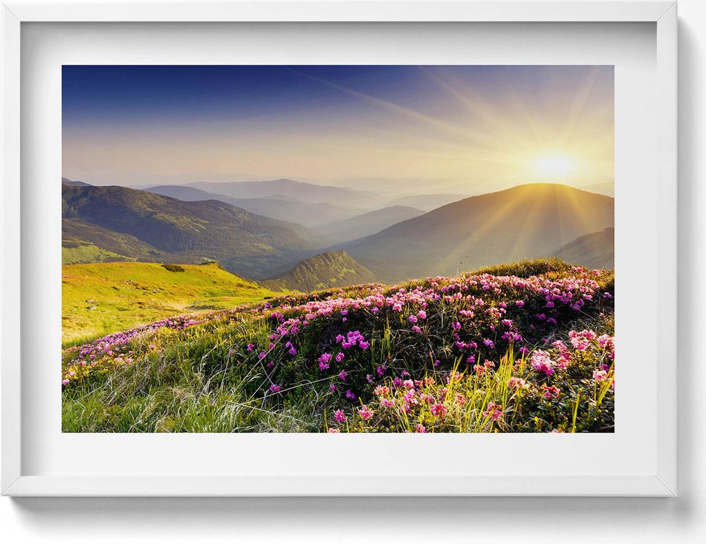 Berge und eine Blumenwiese– Wandbild mit Rahmen – Gerahmtes Bild – Wanddekoration – 70x50 cm – Schwarz Rahmen