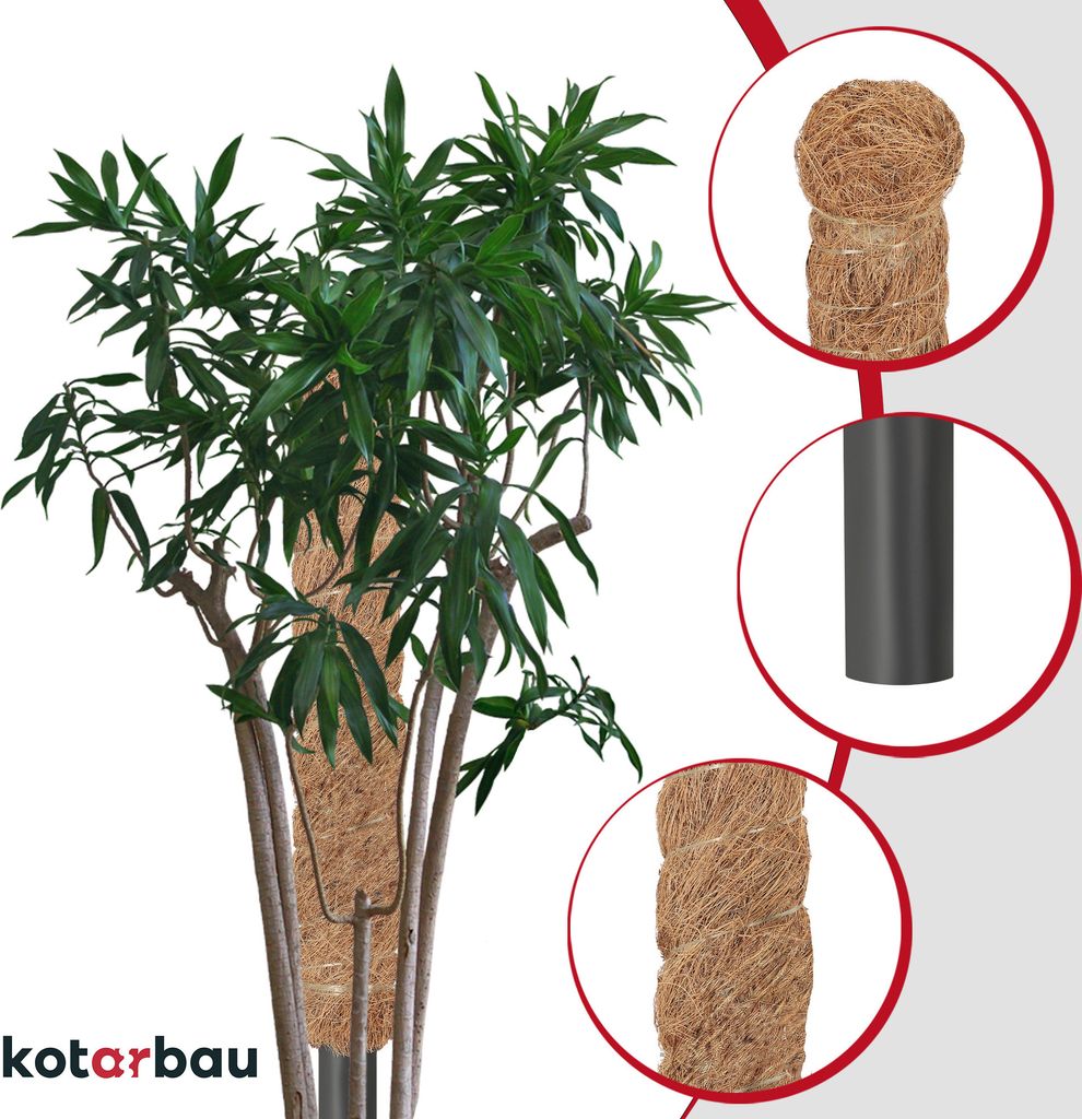 KOTARBAU® Mechová tyč pro Monsteru Kokosová tyč Přírodní ⌀ Obrázek produktu 8