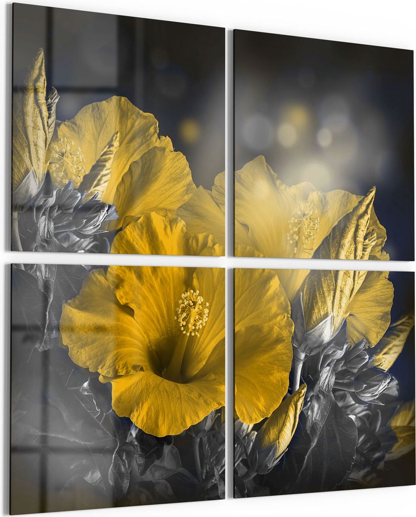 DEQORI Glasbild Echtglas 4x50x50 cm 'Blüten des Roseneibisch' Wandbilder XXL groß