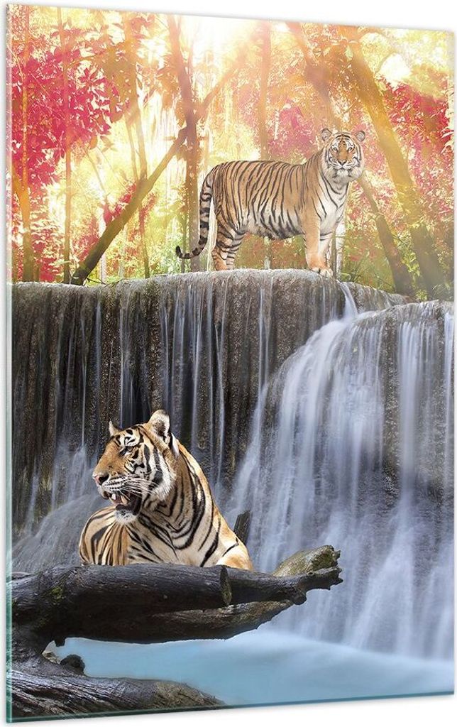 Bilder auf glas - Einteilig - Tiger natur tier paradies - 50x70cm - Glasbilder - Wandbilder - Bilder - zum Aufhängen bereit - Wanddekoration aus G...
