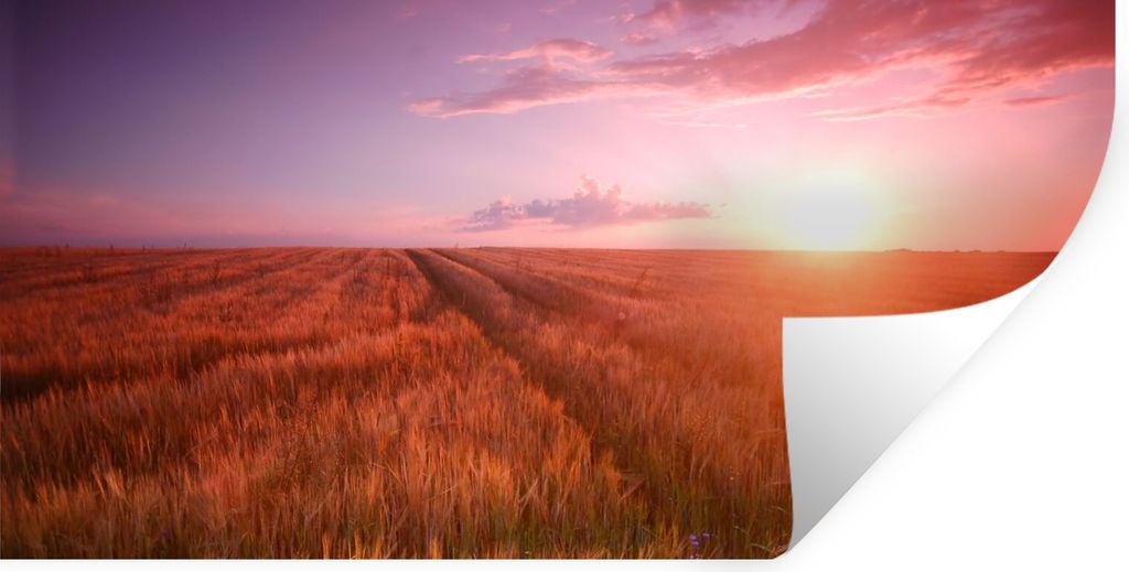 MuchoWow Wandtattoo Wandsticker Wandaufkleber Wiese - Sonne - Abend - Landschaft 160x80 cm Selbstklebend und Repositionierbar - Sticker - Dekorfolie
