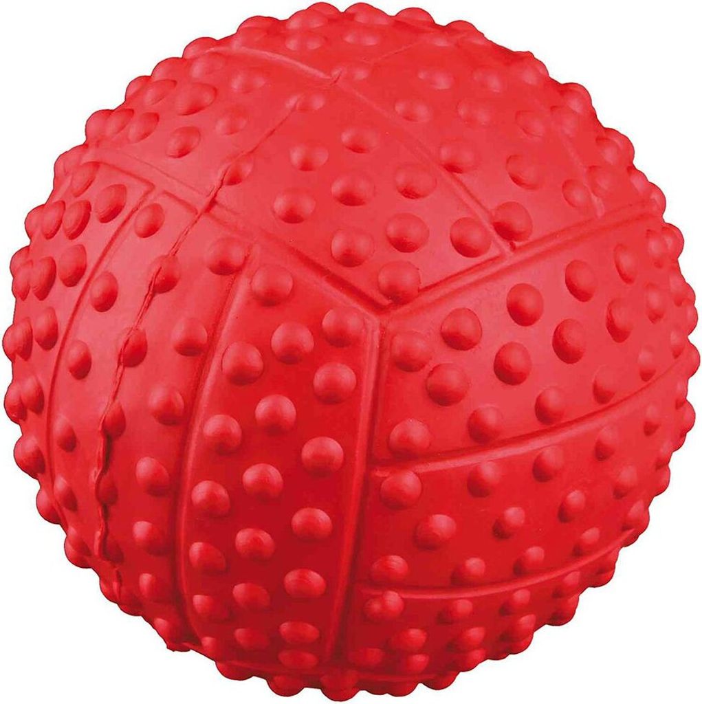 Sportball Hundespielzeug ø 7 cm lime Image du produit 