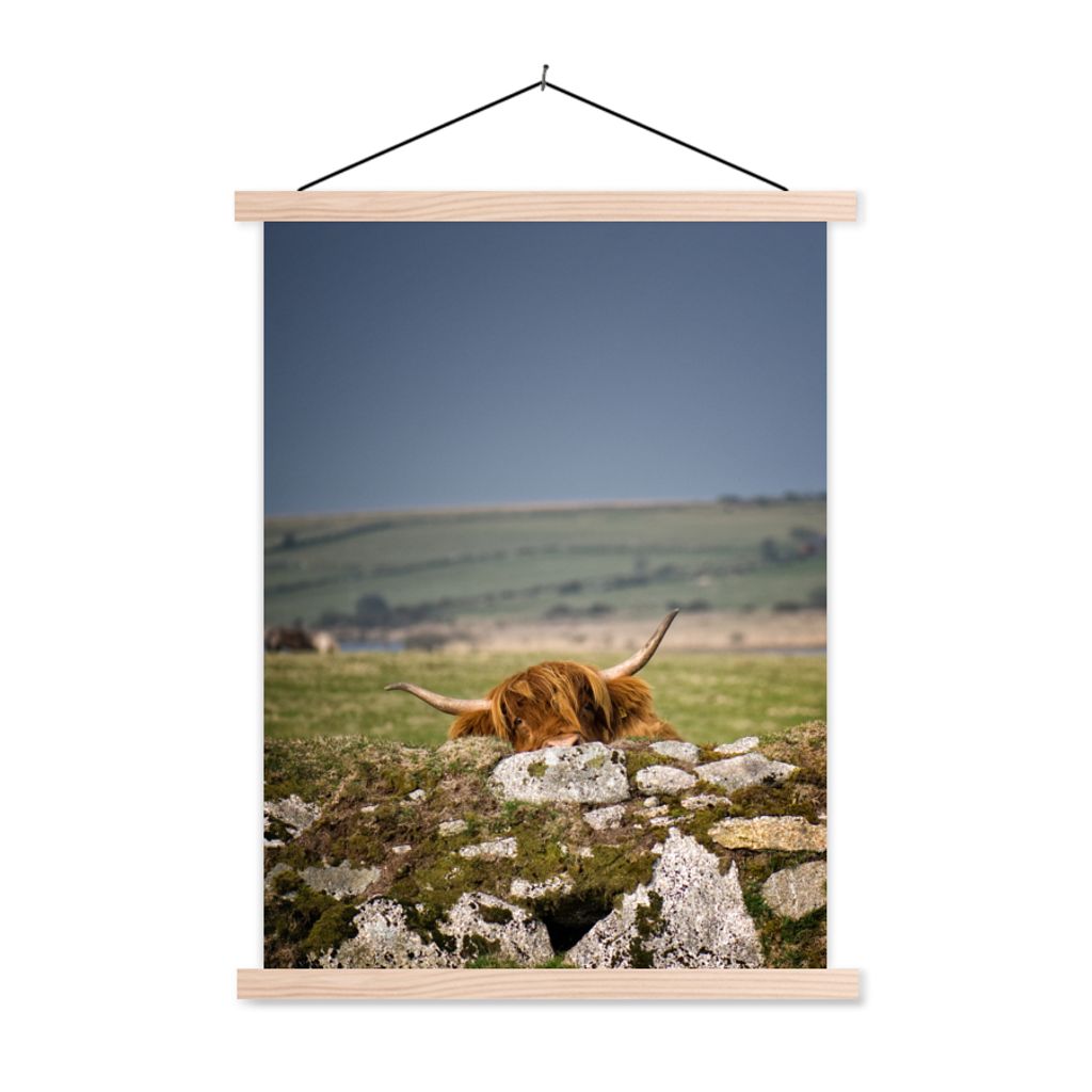 MuchoWow Textilposter Schottische Highlander - Steine - Gras 60x80 cm mit holzfarbenen Rahmen - Wandbild
