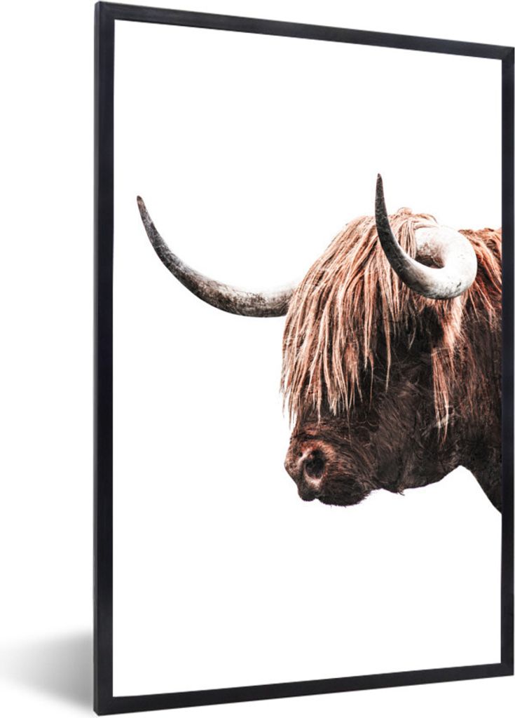 MuchoWow MuchoWow Gerahmtes Poster Schottische Hochlandrind - Tiere - Kühe 20x30 cm - Poster mit zchwarzem Bilderrahmen - Drucken - Bilder Pos...