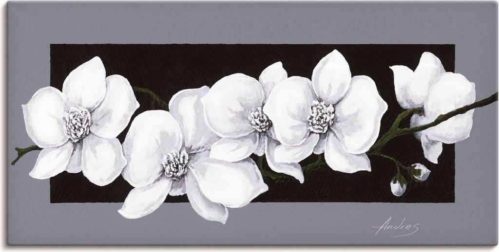 ARTland Leinwandbild Weiße Orchideen Größe: 100x50 cm