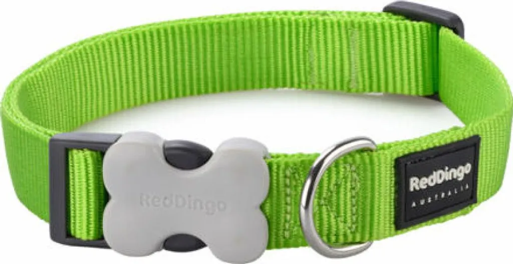 Red Dingo Collare Cane Grande Verde Neon 41-63cm | Nylon Ultra Resistente