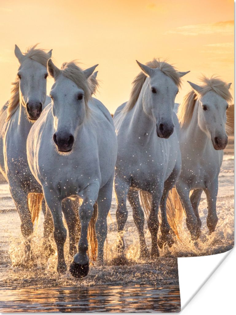 MuchoWow Poster Pferde - Wasser - Strand - Tiere 30x40 cm - Wandplakat - Poster Kinderzimmer