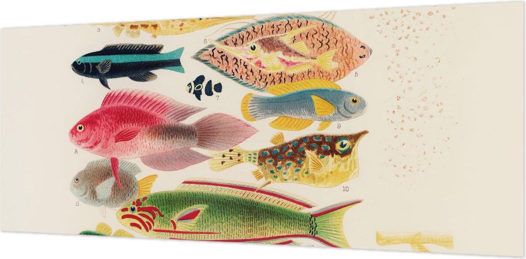 Wandtapete - Dekorative Tapete für Wohnzimmer- Tapetenfolie für Wanddekoration - 208x146 cm - Bunte Fische