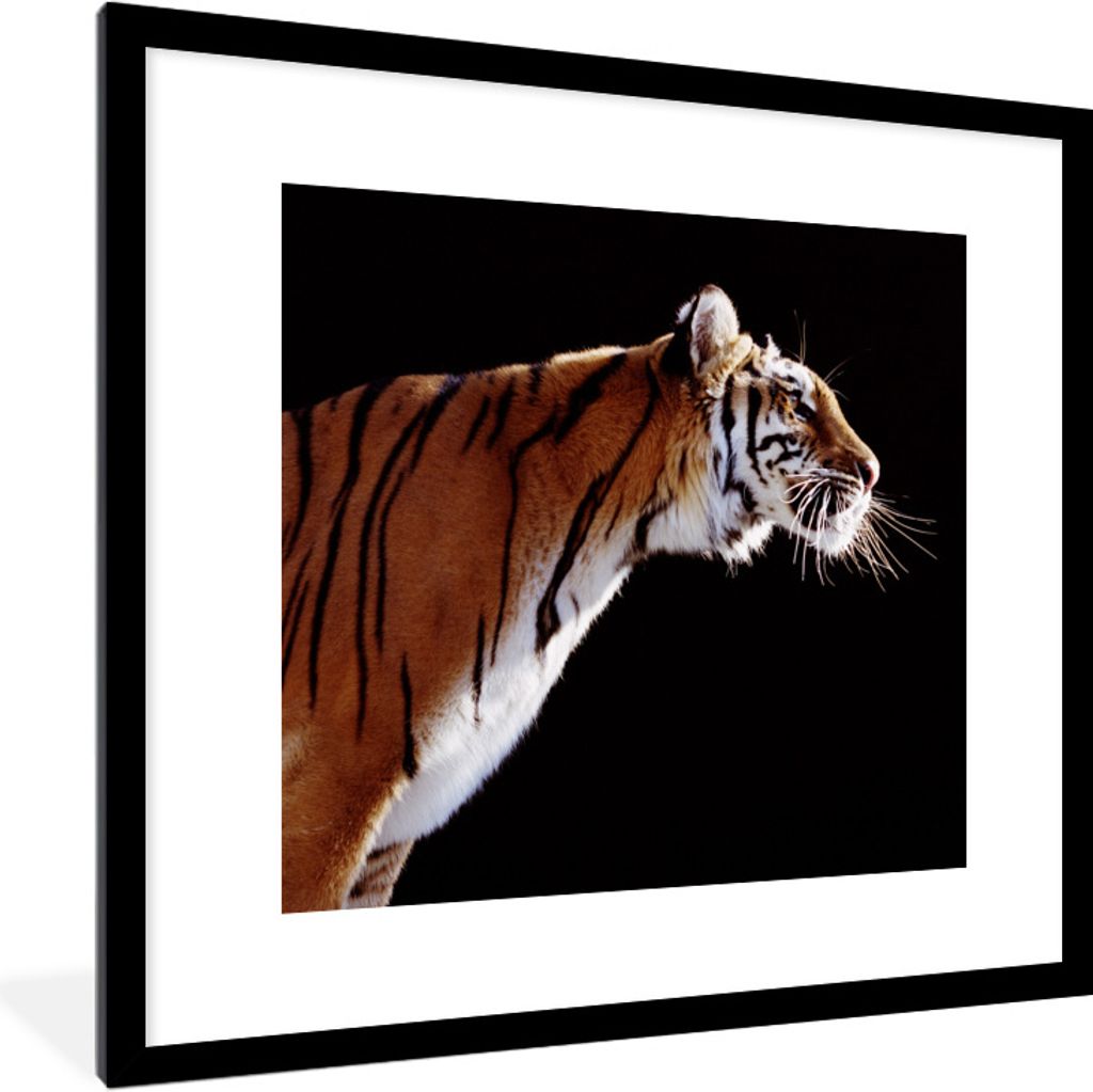MuchoWow Gerahmtes Poster Tiger - Schwarz - Detail 40x40 cm - Poster mit Schwarzem Bilderrahmen Wandposter Rahmen Foto Bilder - Poster - Plakat i...