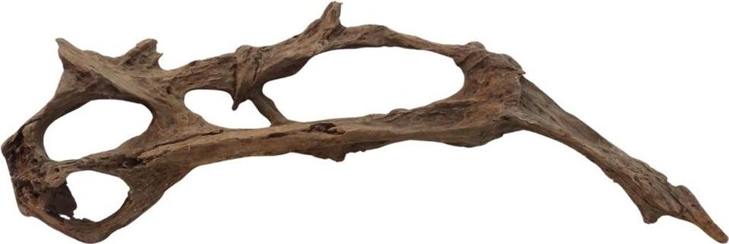 XXL Mangrovenwurzel Nr.3013 Holz Deko Aquascaping