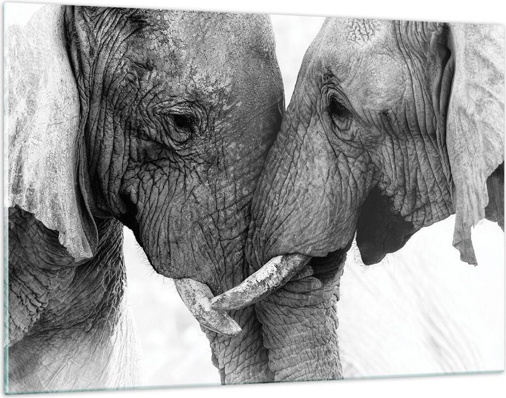 Bilder auf glas - Einteilig - Elefanten Safari Bond - 120x80cm - Glasbilder - Wandbilder - Bilder - zum Aufhängen bereit - Wanddekoration aus Glas...