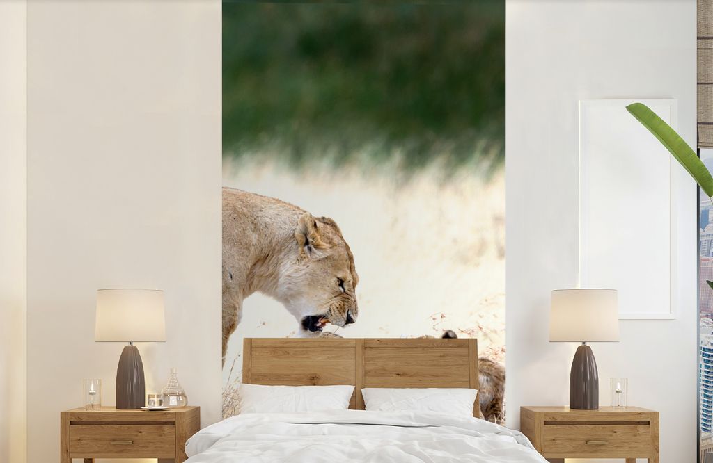 MuchoWow Fototapete für Wohnzimmer oder Schlafzimmer Wandtapete Vinyl Motivtapete Löwe - Gras - Junge - Familie - 120x240 cm - Hintergrundbild