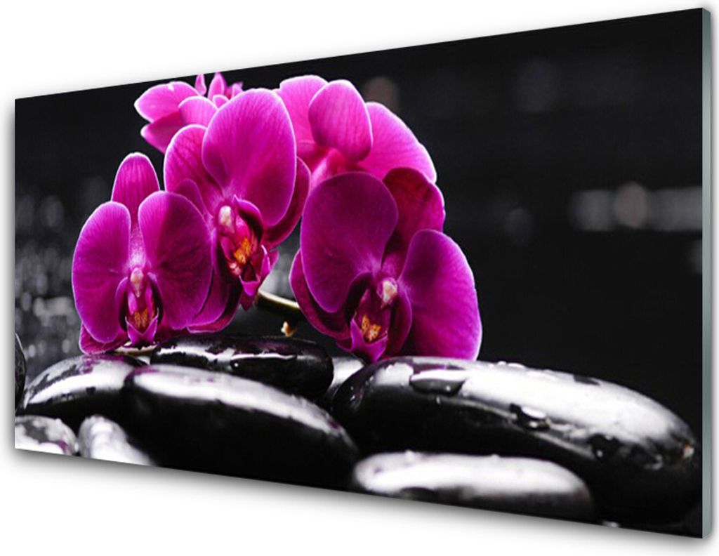Küchenrückwand aus Glas 100x50cm Spritzschutz Blumen Steine Pflanzen