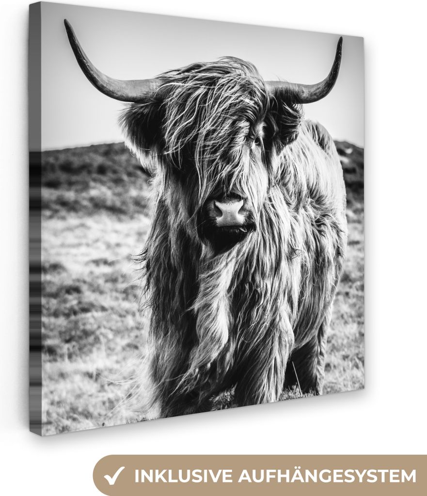 MuchoWow - Leinwandbilder - Schottischer Highlander - Natur - Kuh - Schwarz - Weiß, Wandbild, Wanddeko Bilder Wohnzimmer, 90x90 cm