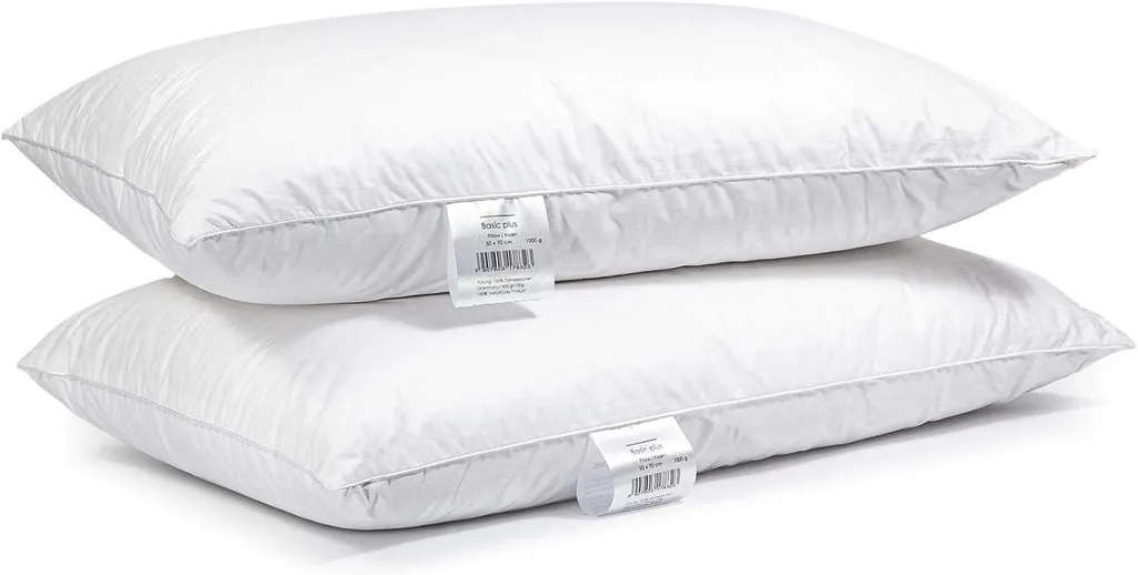 Offerta Set 2 Cuscini Piuma d'Oca 1000g 50x70 - Comfort 3 Camere
