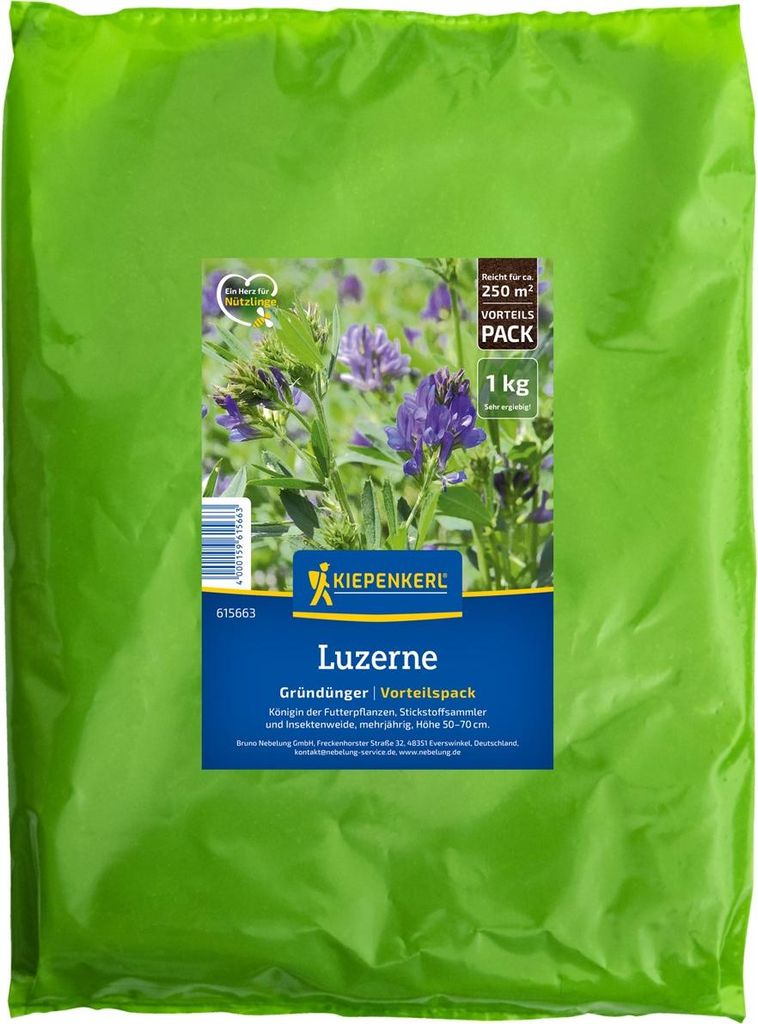 Kiepenkerl Saatgut Luzerne Medicago sativa für 250 m² 1 kg Produktbild 