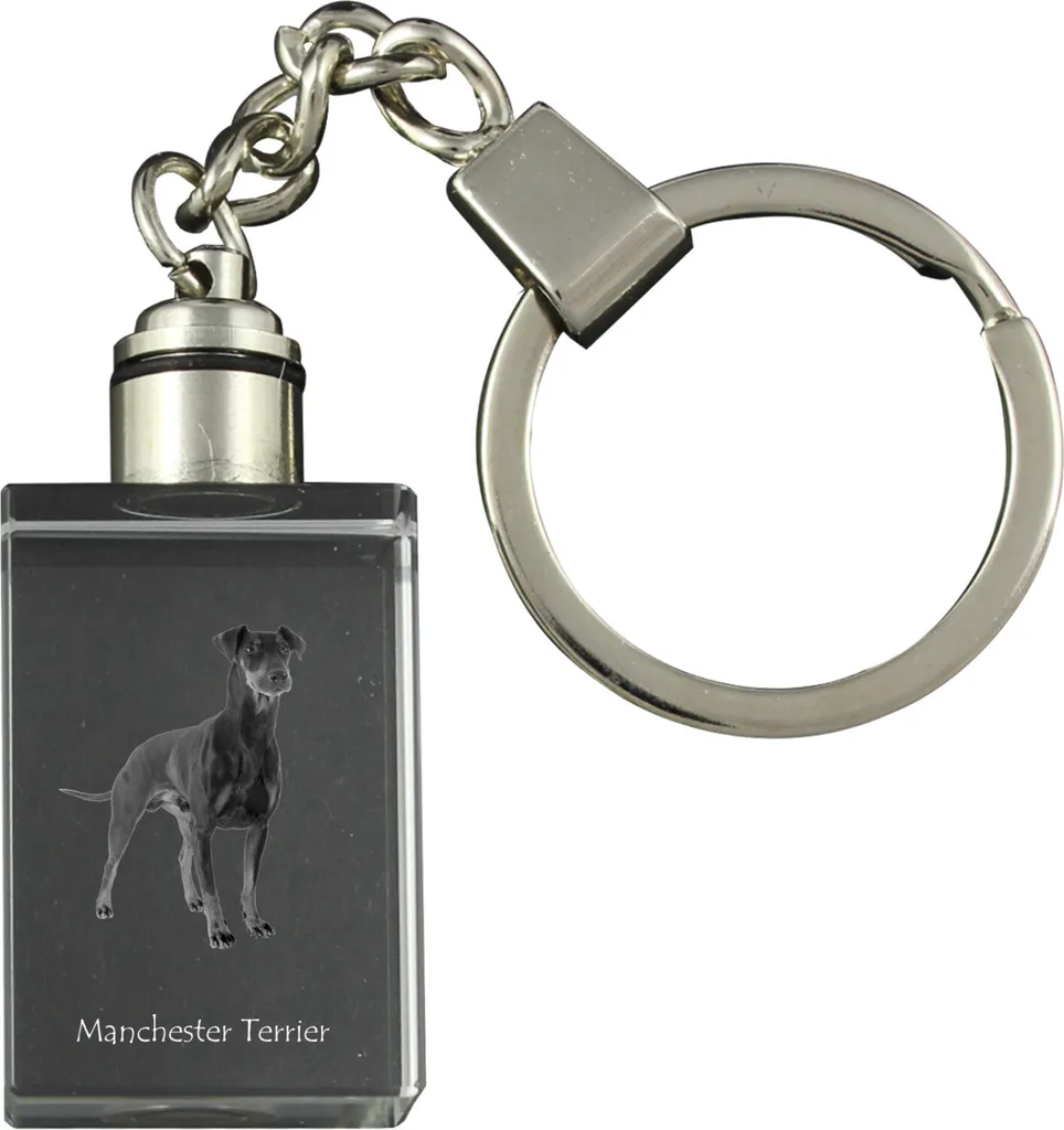 Portachiavi Muro Yorkshire Terrier Ottone Art-Dog: Supporto Resistente